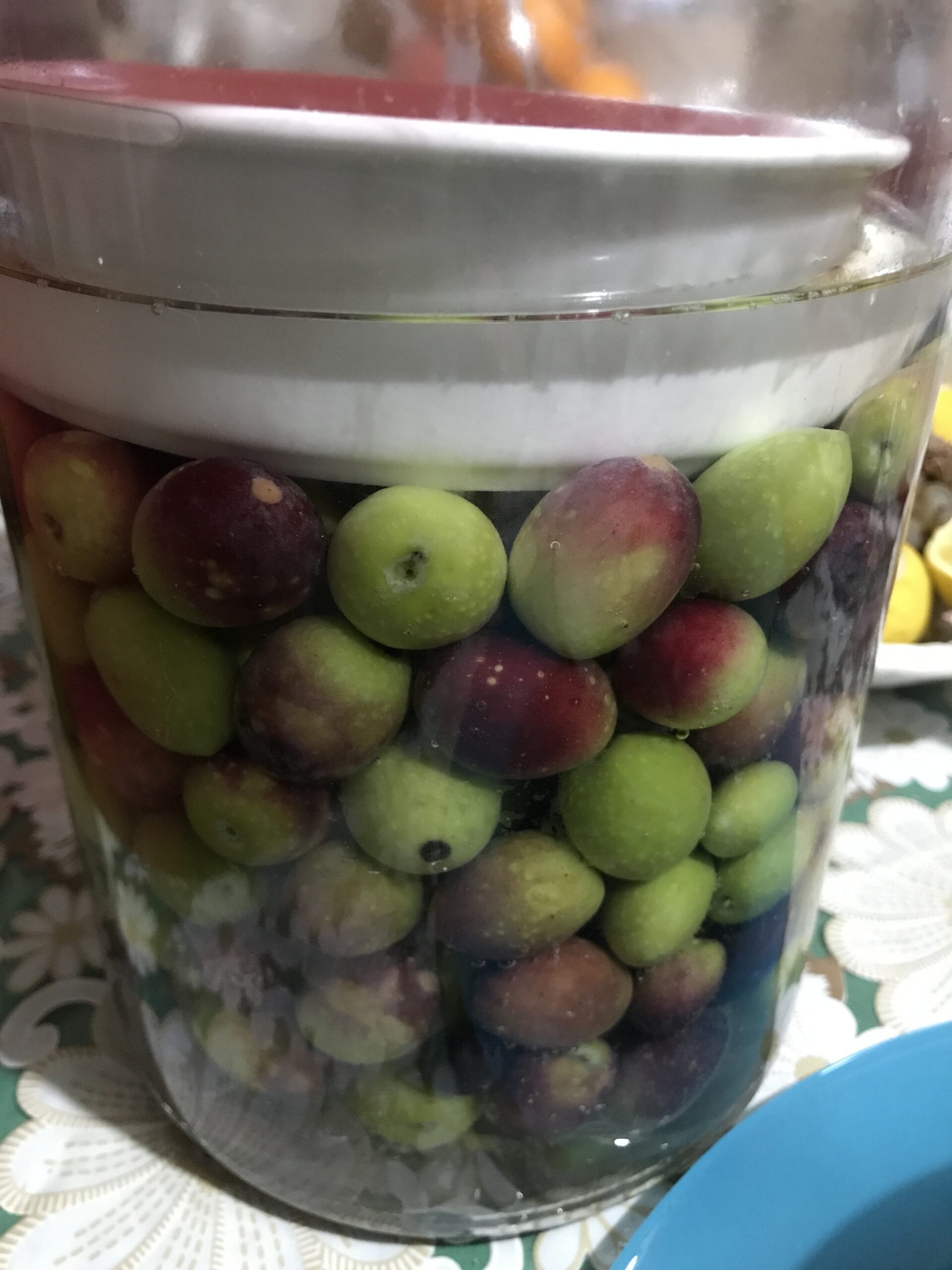 Preparazione delle olive in salamoia.